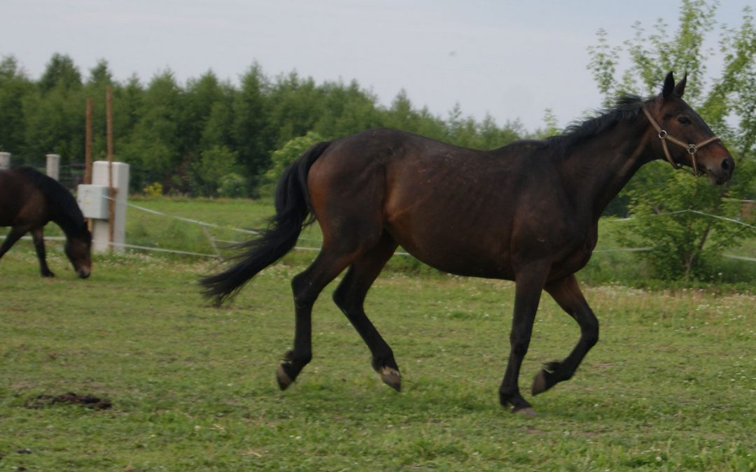 Luna ma się świetnie :)