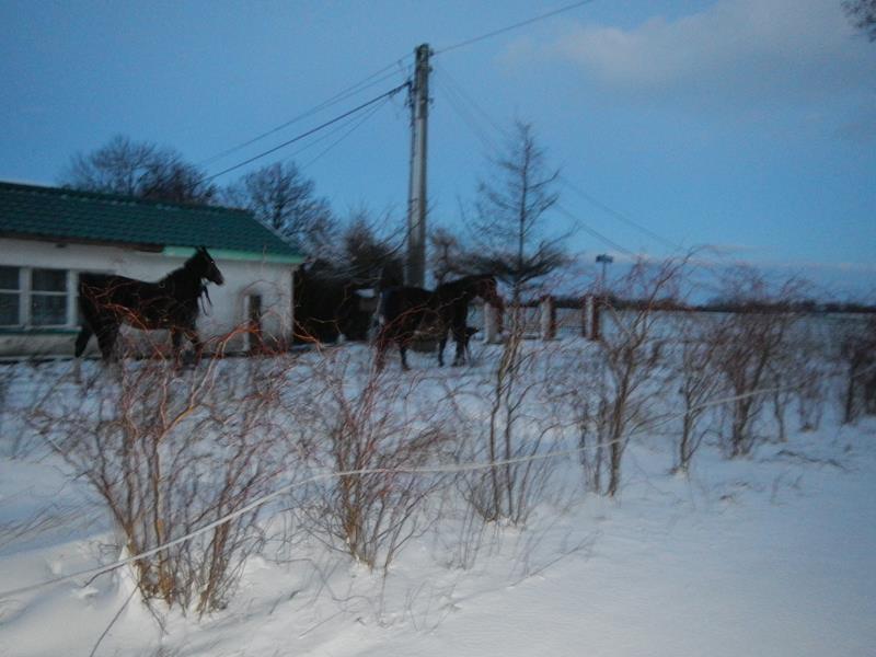 Fotorelacja z Pigży. Sytuacja kryzysowa.