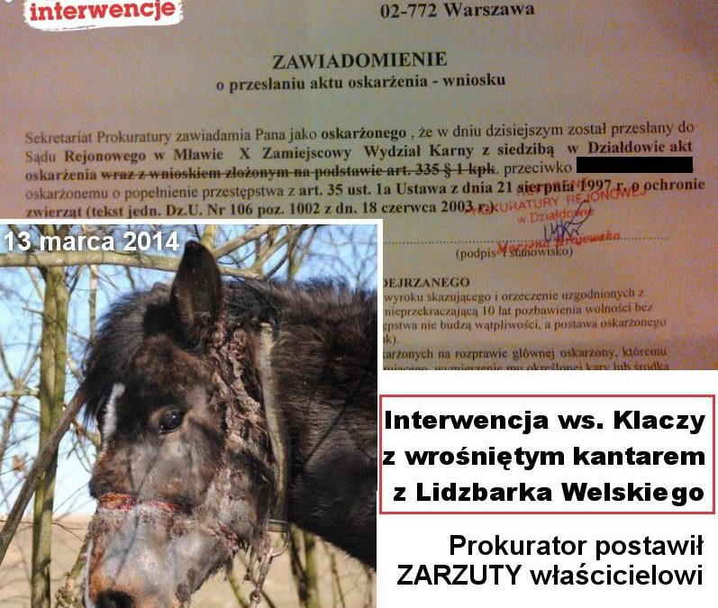 Interwencja w Lidzbarku nie poszła na marne!