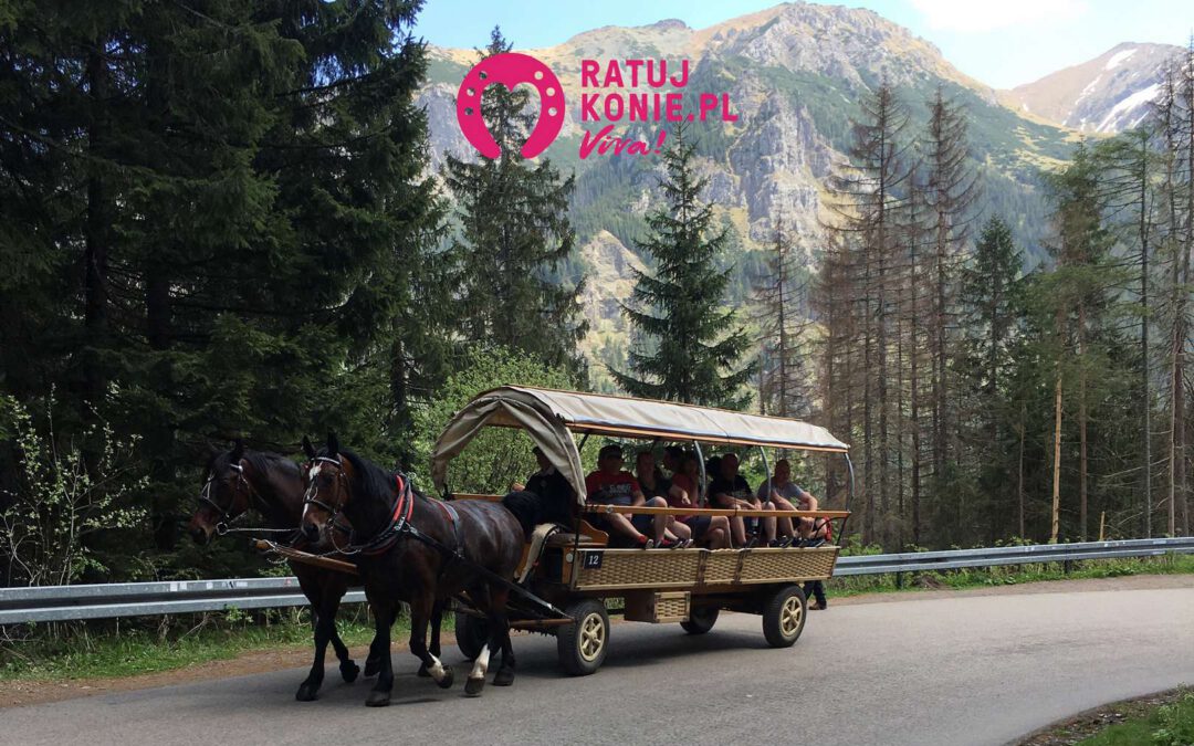 Transport konny zanieczyszcza teren parku narodowego!