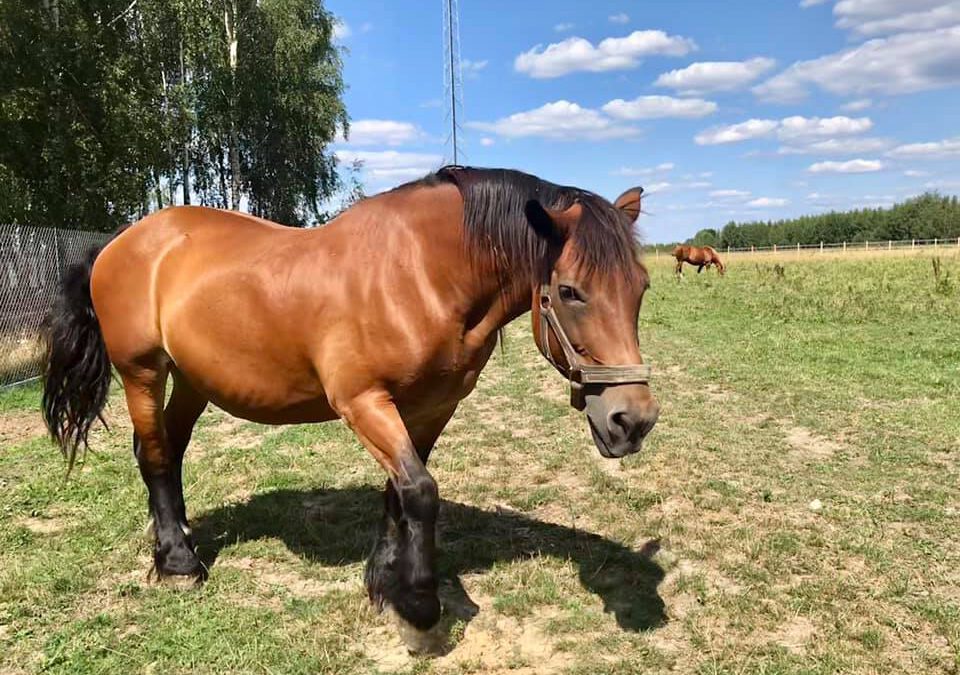 BALBINA