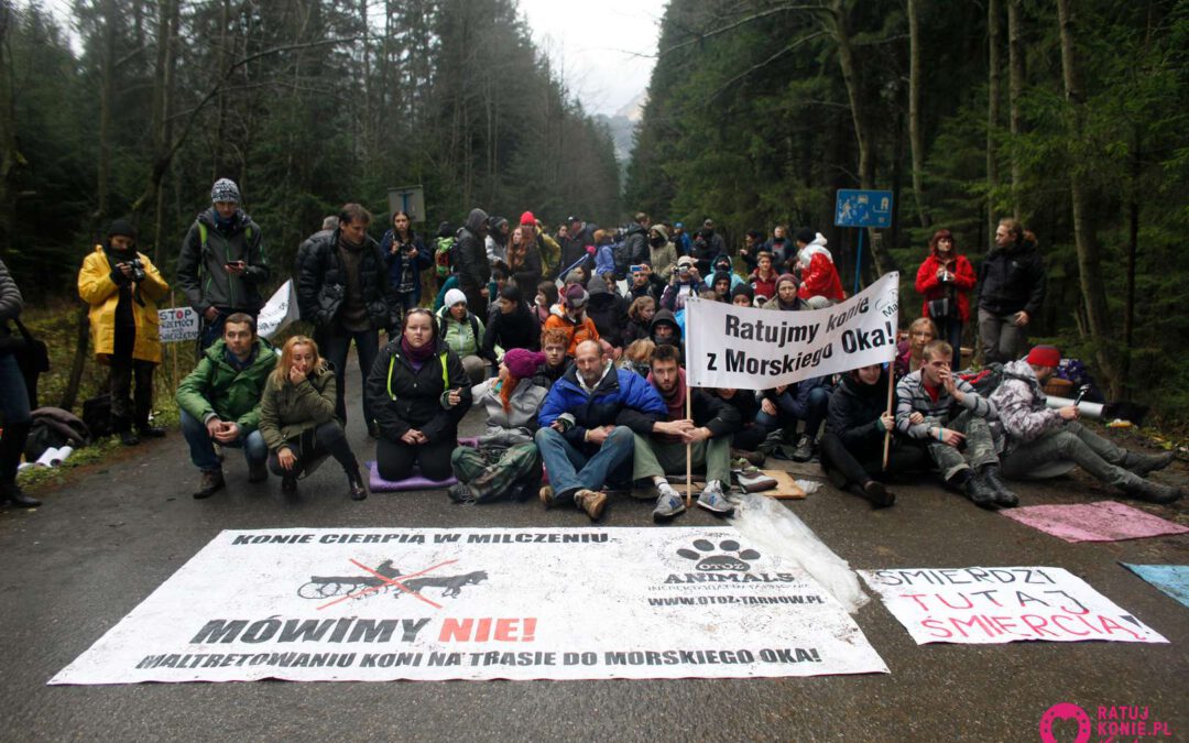 Protestujący na trasie do Morskiego Oka uniewinnieni