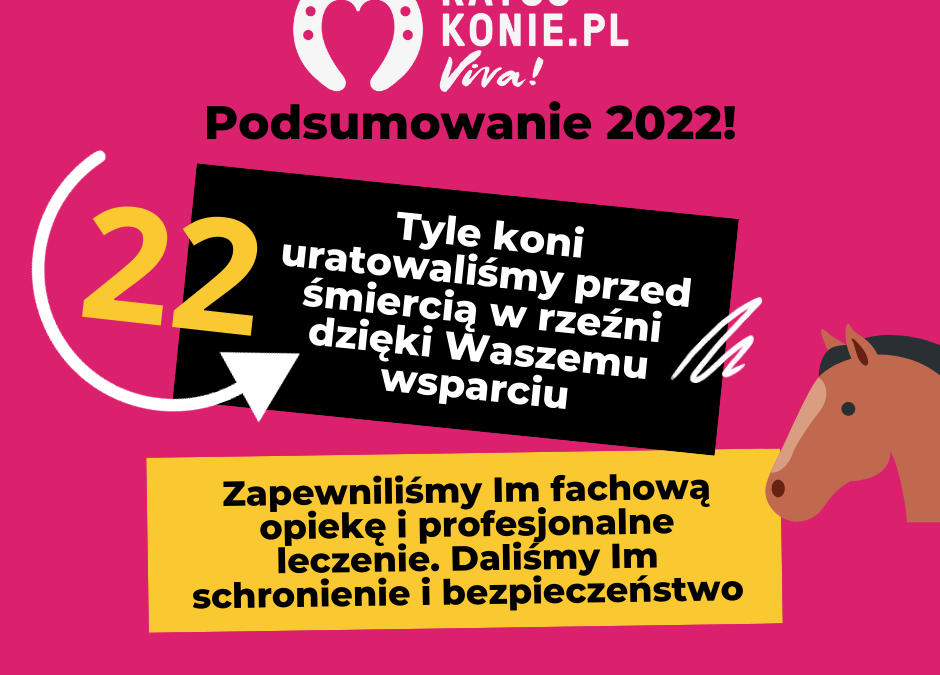 PODSUMOWANIE ROKU 2022