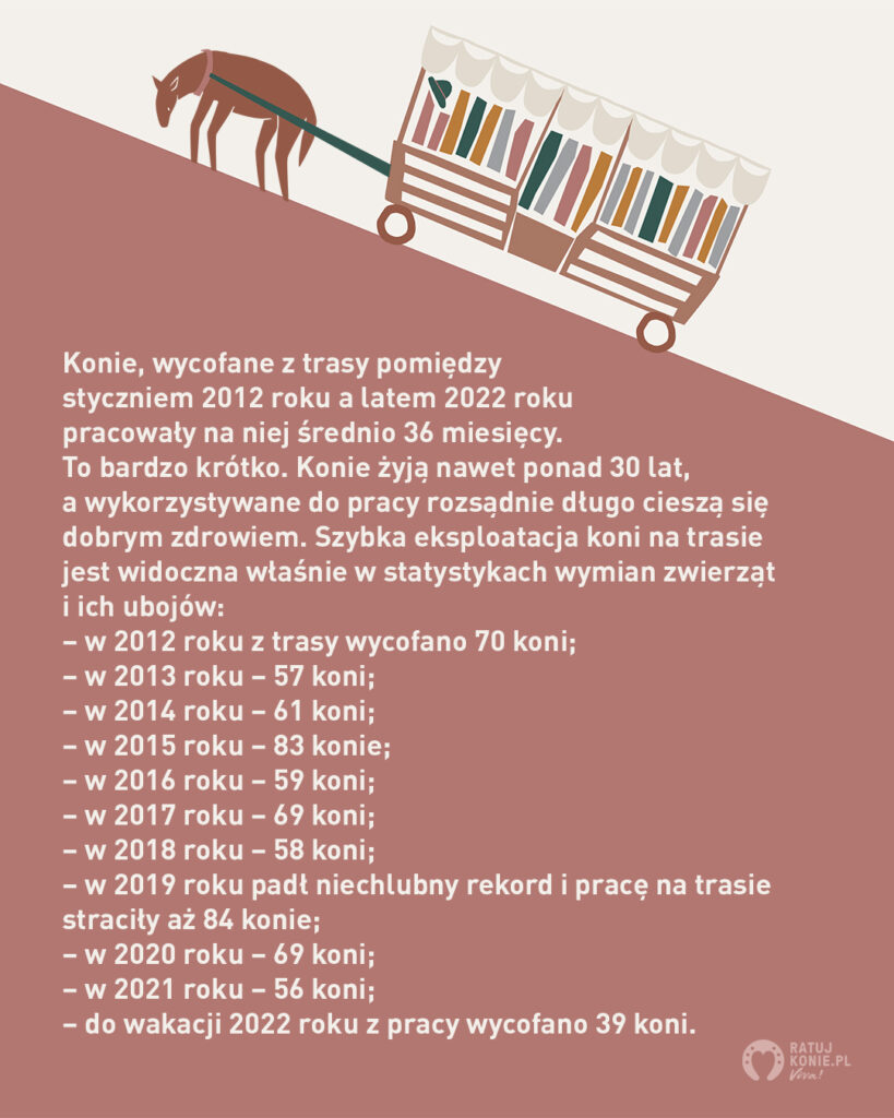 Konie z Morskiego Oka pracowały na trasie średnio 36 miesięcy