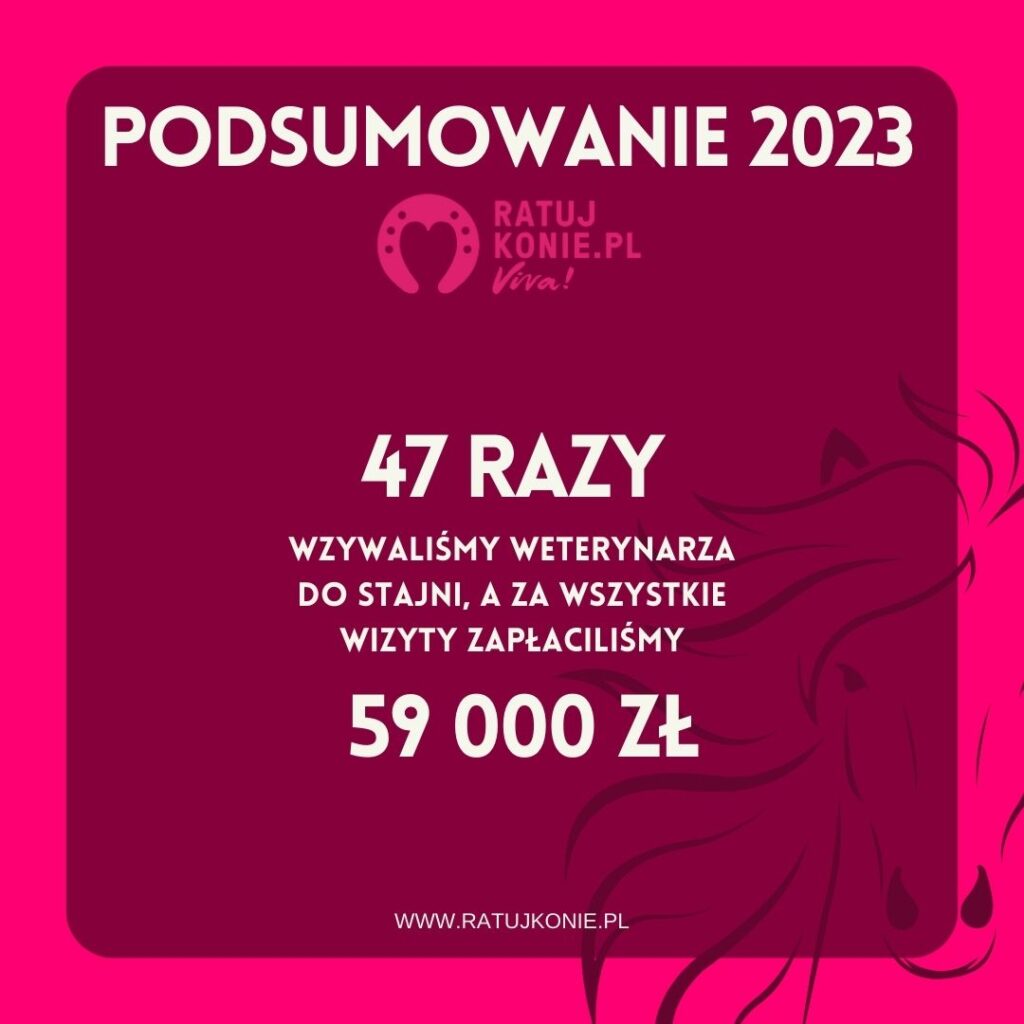 Ratuj Konie 2023- 47 wizyt weterynarza 