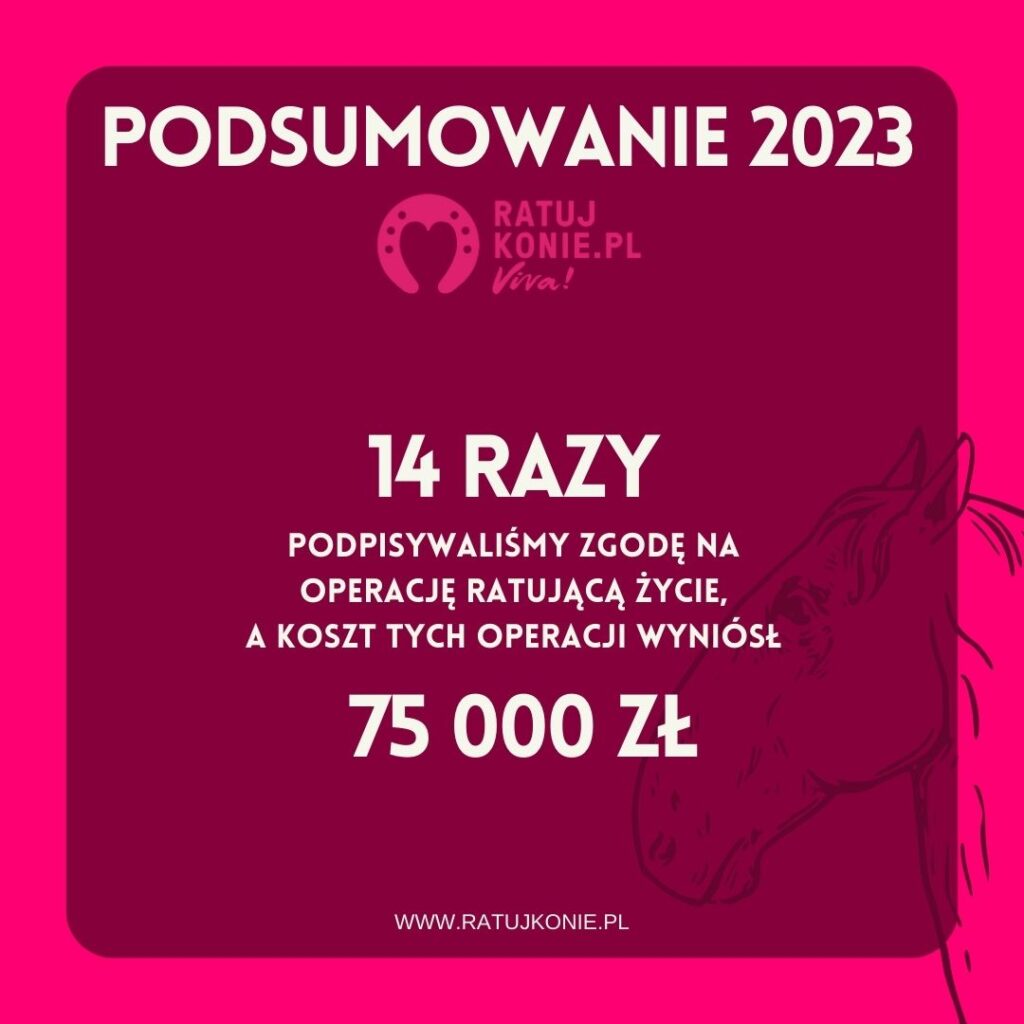 Ratuj Konie 2023- 14 operacji koni